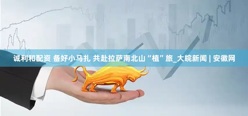 诚利和配资 备好小马扎 共赴拉萨南北山“植”旅_大皖新闻 | 安徽网
