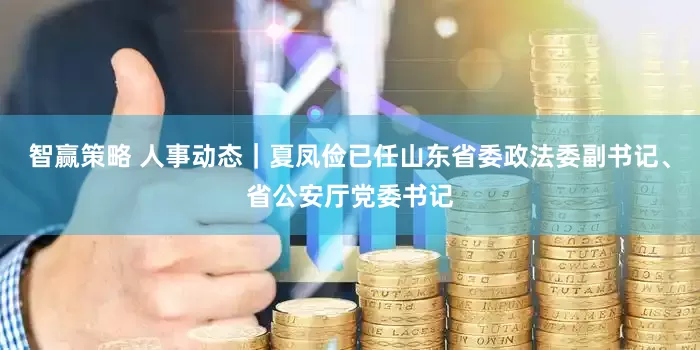 智赢策略 人事动态｜夏凤俭已任山东省委政法委副书记、省公安厅党委书记