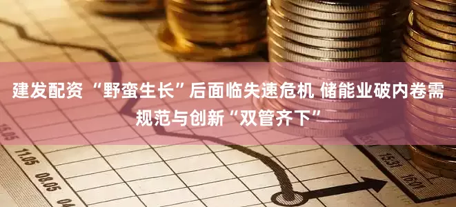 建发配资 “野蛮生长”后面临失速危机 储能业破内卷需规范与创新“双管齐下”